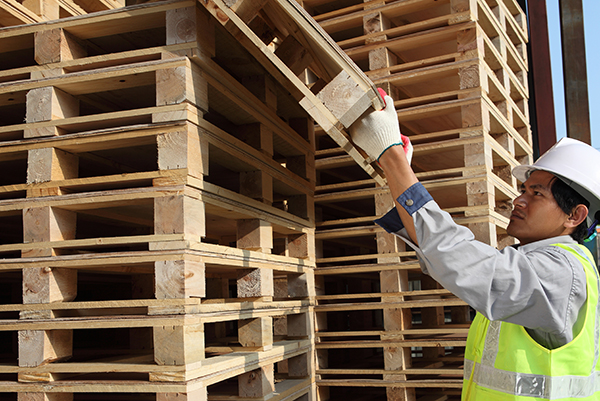Discover How to Reduce Your Supplier Risk Now
