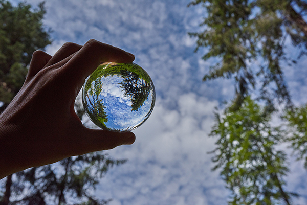 Dual Sourcing: Is it a Gamble for Supply Chain Managers?