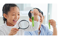 science experiment